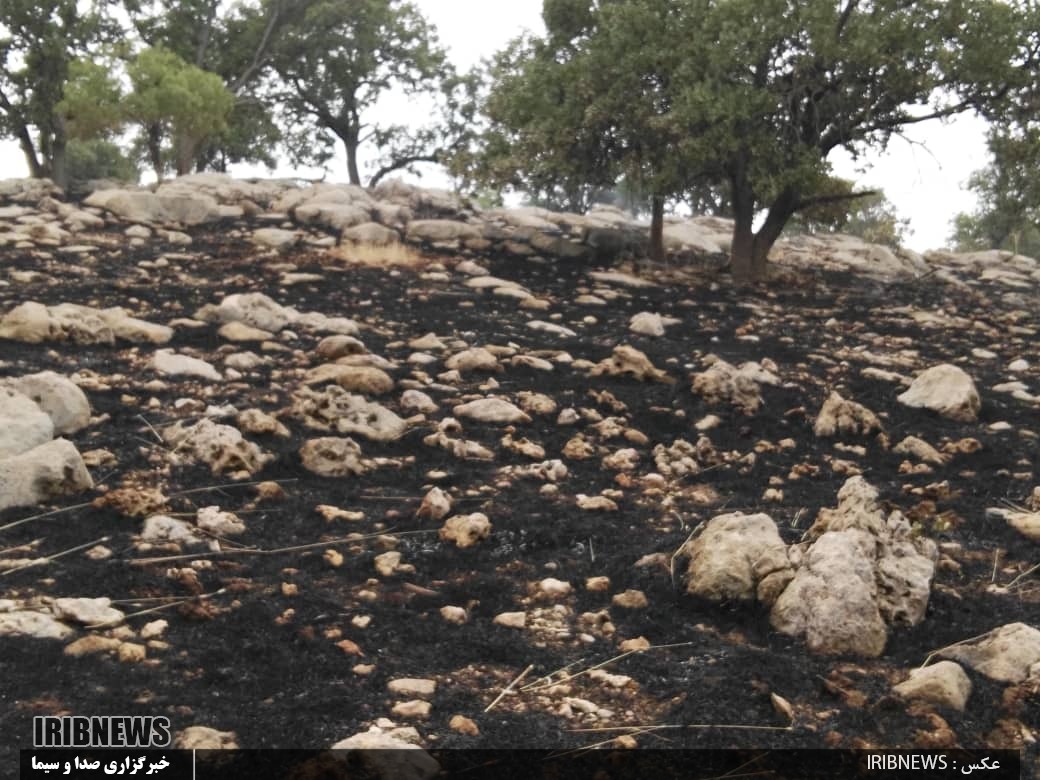 مهار کامل آتش سوزی عرصه‌های منابع طبیعی شهرستان رستم