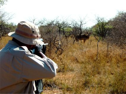 زخمی شدن محیط بان در درگیری با شکارچی متخلف  