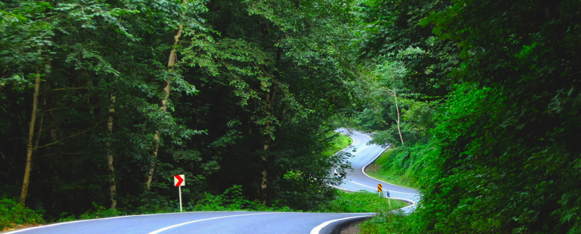جاده کرج – چالوس با طبیعتی بکر، یکی از زیباترین جاده های جهان