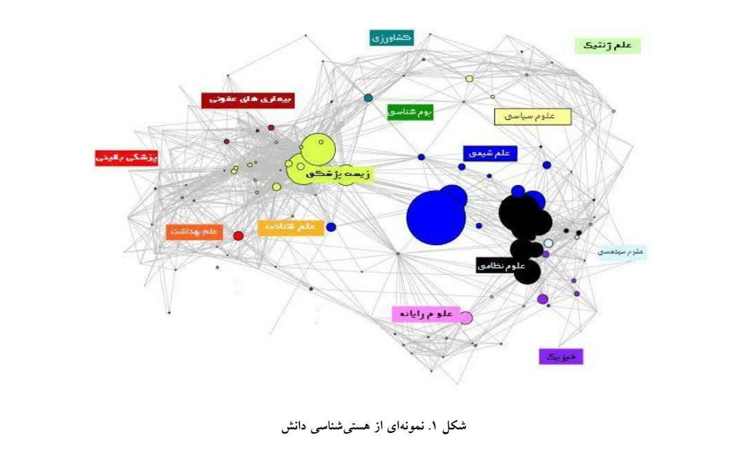 تحلیل نقش افراد و سازمان‌ها در پروژه BAM