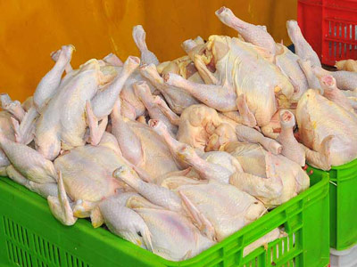 تولید سالانه ۱۳۵ تن گوشت مرغ در بهمئی