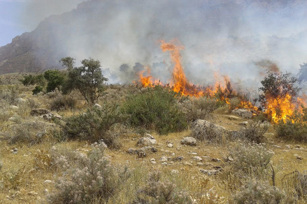 مهار آتش سوزی در مناطق کاکان و تنگ تامرادی
