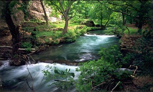 اینجا تو را می خواند