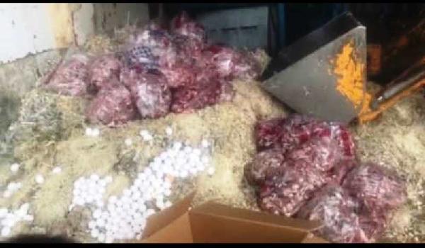 معدوم سازی بیش از 18 تن تخم مرغ فاسد در اصفهان