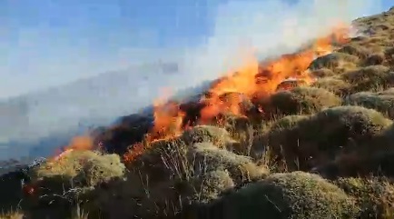 آتش سوزی بخشی از مراتع کلیبر