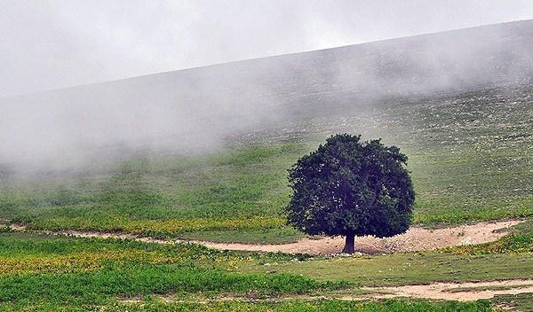 پایداری نسبی هوای گیلان