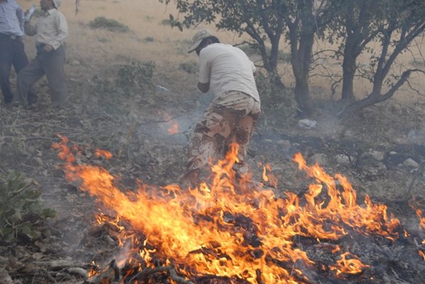 آتش سوزی وسیع مراتع در دهستان دشتروم بویراحمد