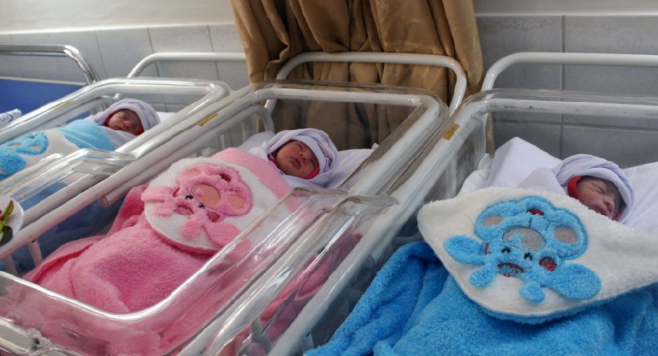 تولد نوزادان سه قلو در فسا