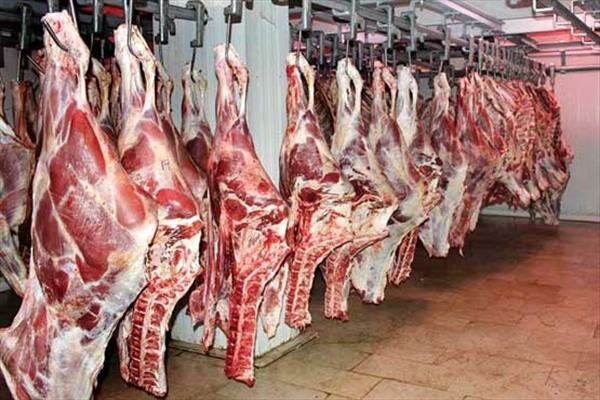 گوشت گوسفند روی ریل ارزانی