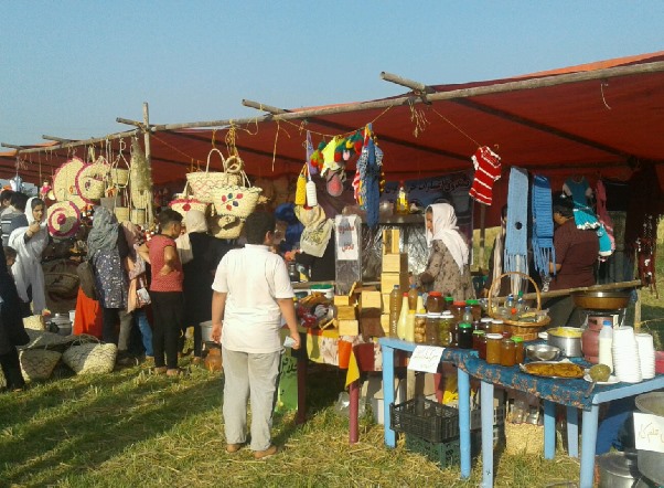 برپایی نمایشگاه صنایع دستی و عکس در تالش