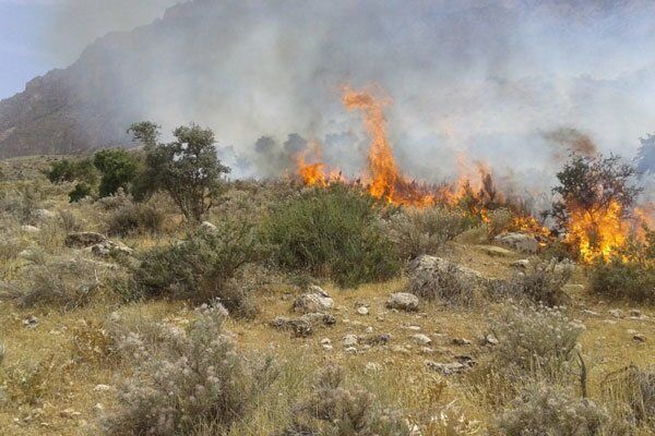 آتش گرفتن مناطق جنگلی روستای ارزین خداآفرین