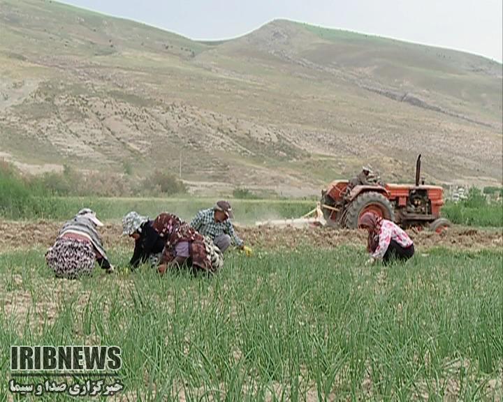 عضویت 47 هزار خانوار در صندوق بیمه اجتماعی روستایی خراسان شمالی