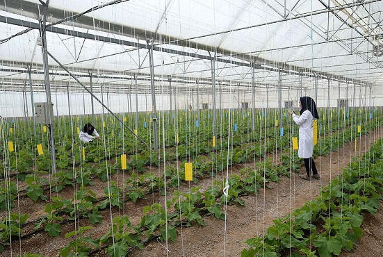 ایجاد باغ مدرنِ میوه، در واحد کرمانشاه