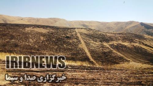 هشدار به کشاورزان زنجانی
