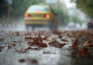 بارش باران پائیزی و لطافت هوا در شیراز