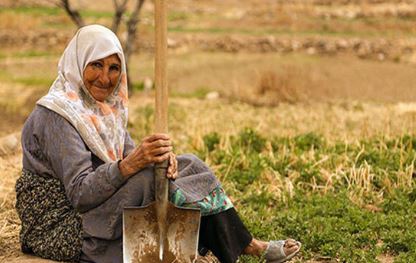 بهره مندی سالمندان تحت حمایت کمیته امداد مهریز از خدمات پزشکی رایگان