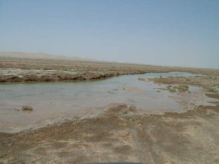 جاری شدن آب در بستر تالاب بین المللی گاوخونی اصفهان