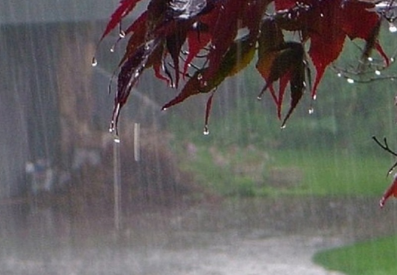 بارش رگباری باران پاییزی در مشهد مقدس