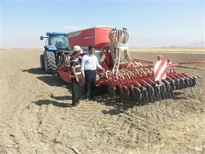 کشت بیش از ۶۰۰ هزار هکتار محصولات زراعی پاییزه در استان کرمانشاه