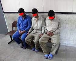 دستگیری سه حفار غیر مجاز در داورزن