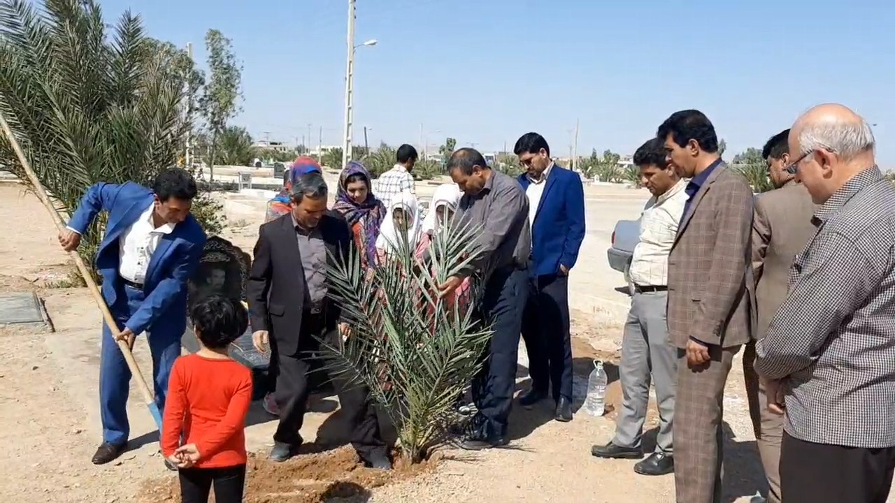 غرس یکنفر نخل به یاد مرحوم سید مجید موسوی از نام آوران اهدای عضو