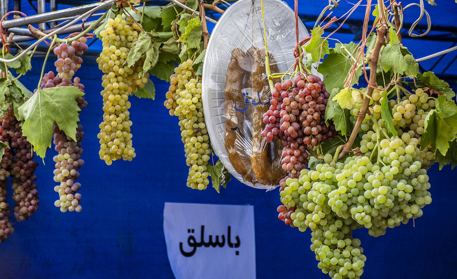 برگزار آئین شکرگذاری برداشت انگور در روستای هزاوه