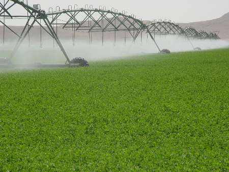 مصرف بهینه آب در بخش کشاورزی