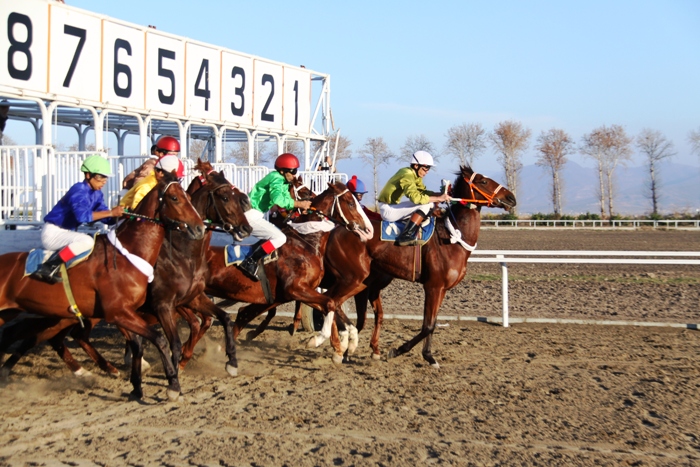 برگزاری مسابقات اسب دوانی در یاسوج