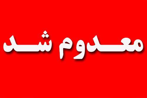 کشف و معدوم سازی پنیر موزارلای غیربهداشتی در نیشابور