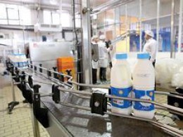 تولید 990 هزارتن شیر سالانه در خراسان رضوی
