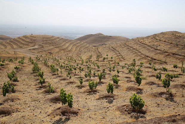 چهارمحال و بختیاری میزبان طرح 