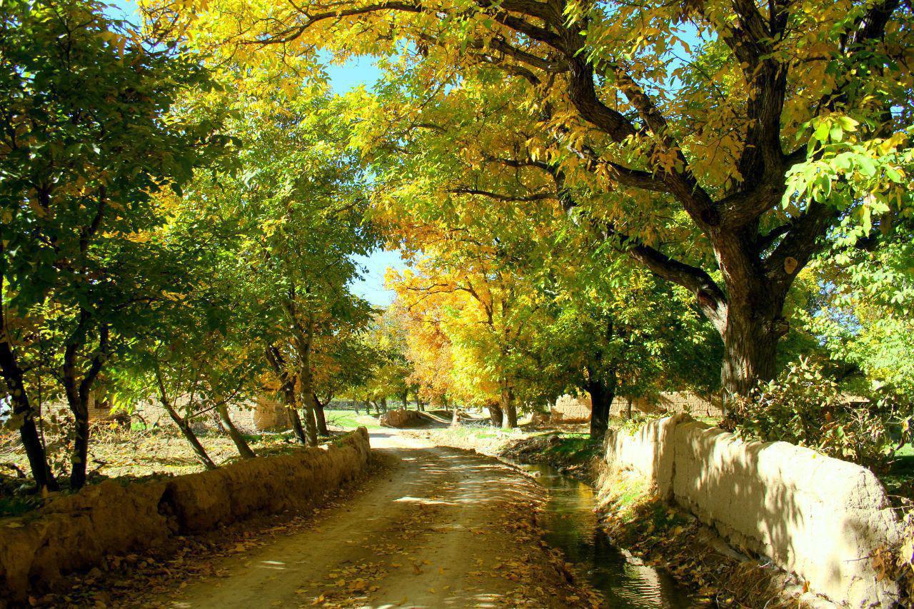 بارش برف وباران مهمان آسمان استان