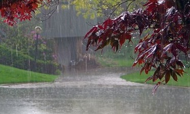 تداوم بارش‌های پائیزی در استان