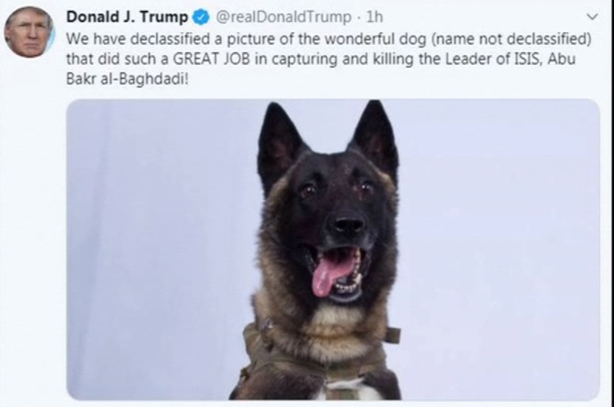 تقدیر ترامپ از سگ شرکت کننده در عملیات ادلب