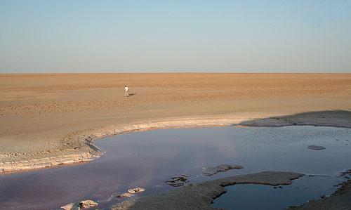 ورود حدود 4 میلیون متر مکعب آب به تالاب بین المللی گاوخونی
