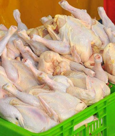 افزایش 13.5 درصدی تولید مرغ در آذربایجان‌شرقی