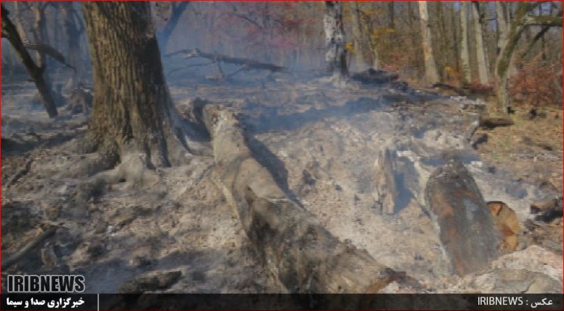 دخالت عامل انسانی در آتش سوزی اخیر پارک ملی گلستان