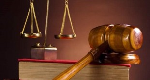 صدور حکم قضایی شکارچی بز وحشی در نطنز