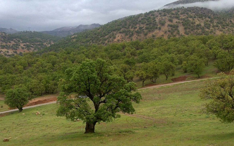 ثبت ۲۵۹ روز پاک در استان