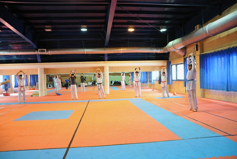 کاراته کا‌ها به لیگ جهانی اسپانیا اعزام می‌شوند