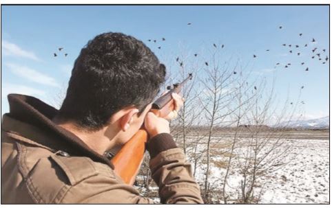 نظارت بر شکار پرنده در استان شدت می گیرد