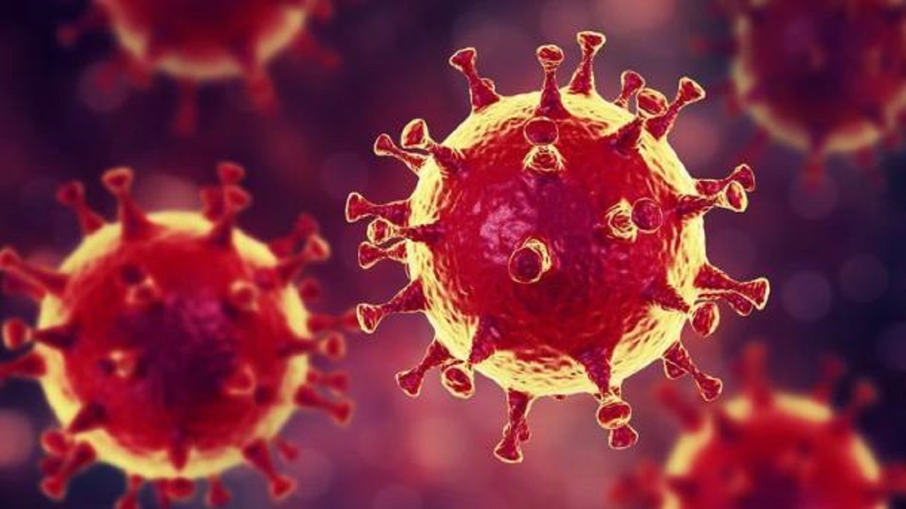 بهبود ۳۷۹ نفر مبتلا به ویروس کرونا
