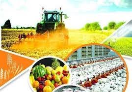 رشد 8 درصدی صادرات محصولات کشاورزی در داورزن