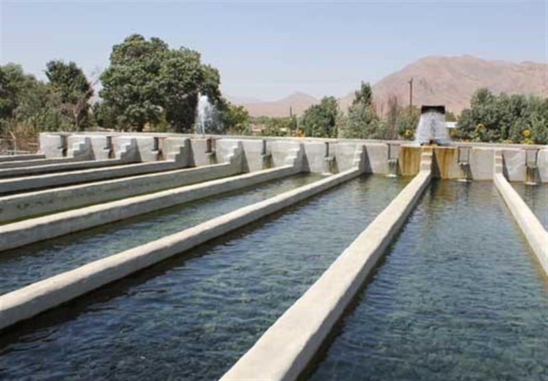 رشد 35 درصدی تولید آبزیان در استان مرکزی