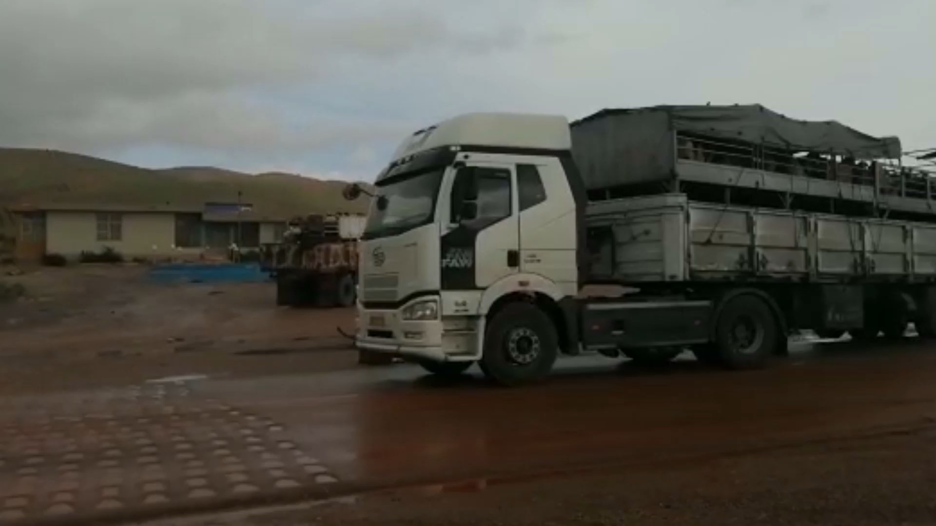 توقف 12 کامیون حامل دام عشایر در پاسگاههای کنترل کوچ در مرز شهرستان سمیرم