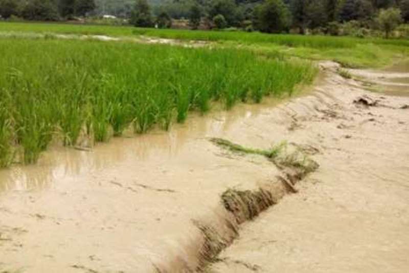 هشدار به کشاورزان استان در خصوص ناپایداری‌های آب و هوایی