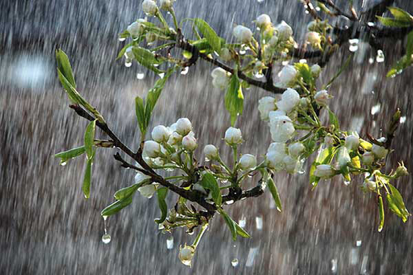 بارش پراکنده باران در نیمه جنوبی استان قزوین