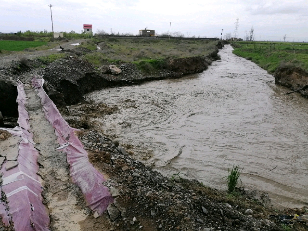 خسارت 120 میلیارد ریالی سرما و بارندگی به باغات شهرستان فیروزه