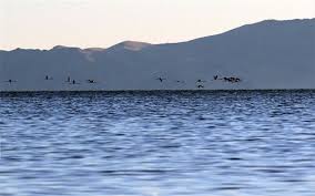 حال خوش دریاچه ارومیه