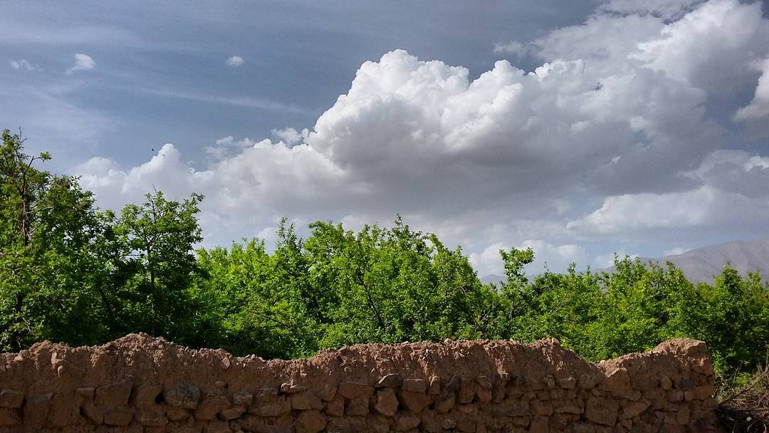 آسمان فارس قسمتی ابری همراه با وزش باد